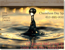 Tablet Screenshot of chameleondayspa.com